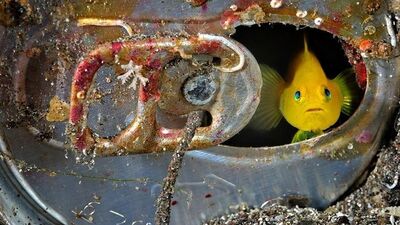 Bu fotoğraflara aşık olacaksınız