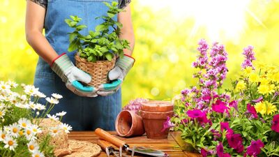 Bahçenizde hünerlerinizi gösterme zamanı