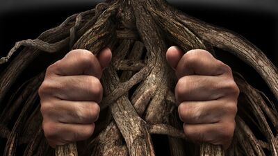 Ölümün varlığı adildir, sebepleri değil...