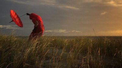 2016'nın en iyi iPhone fotoğrafları