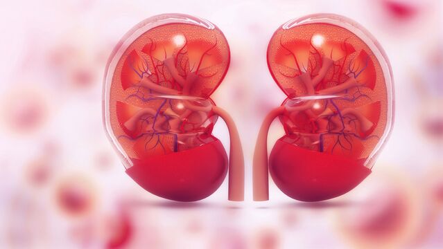 Sağlıklı böbrekler için...