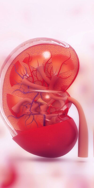 Sağlıklı böbrekler için...