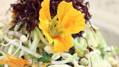 Çiğ beslenme daha mı sağlıklı?