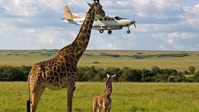 Gördüklerinize inanamayacaksınız!