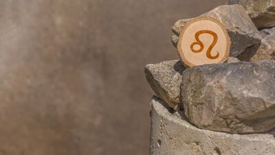 Aslan burcunun seks hayatı nasıldır?