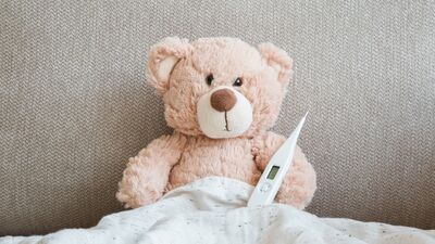 Sıcak havalarda neden hasta oluruz?