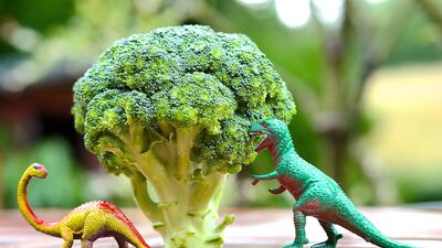 "Çocuğum sebze meyve yemiyor" diyorsanız...