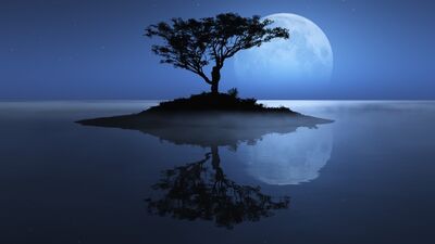 Hayatı yaşarken ona anlam katmak…