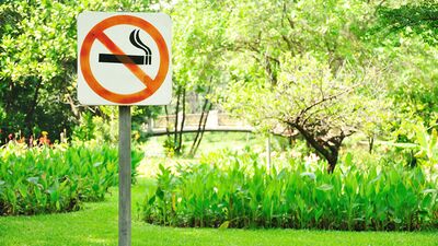 Vücudunuzdaki nikotinden kurtulun!