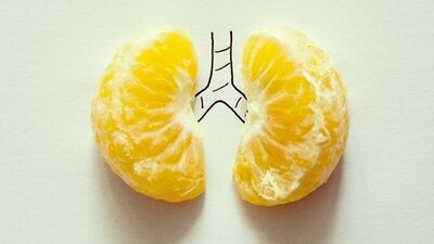 3 günde ciğerler nasıl temizlenir?