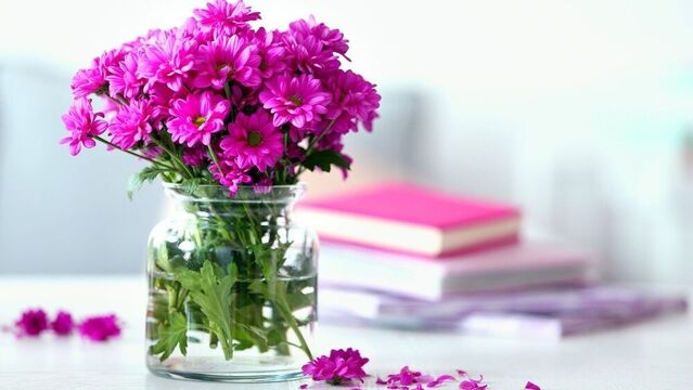 Vazo çiçeklerinin bakımı nasıl yapılır?