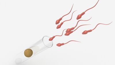 Sperm bankası hakkında merak edilenler