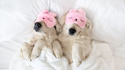 Uyku pozisyonunuz ilişkinize dair ne söylüyor?