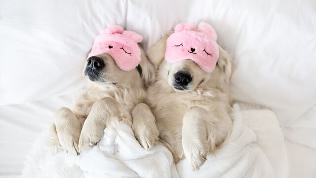 Uyku pozisyonunuz ilişkinize dair ne söylüyor?