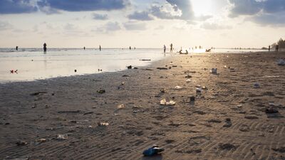 Çöp yokmuş gibi çek pampa!