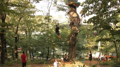 İstanbul'da ekstrem bir gün!