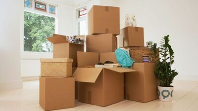 Tersine göç günlüğü: Toplanmanın zorluğu