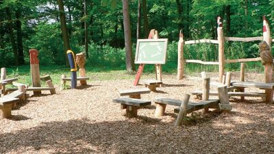 Bambaşka bir eğitim sistemi: Orman okulları