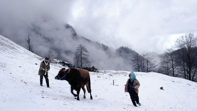 Türkiye'nin Oscar adayı: Kalandar Soğuğu