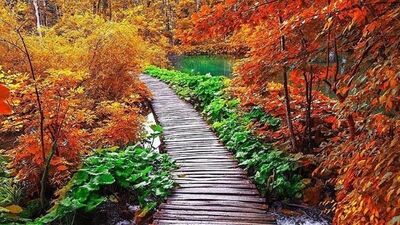 Yollar size çok şey anlatır