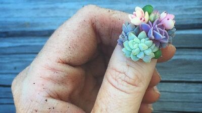 Trend: Sukulent tırnaklar