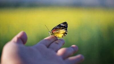 Hayatı kolaylaştırmanın yolları nelerdir?