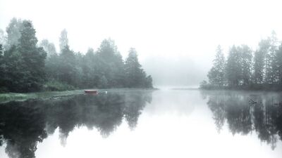 İsveç doğasına aşık olmak