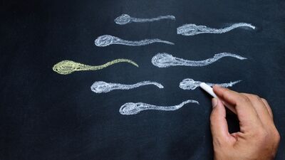 Spermin 16 düşmanı