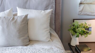 Yatak odanızda bu bitkiler mutlaka olsun