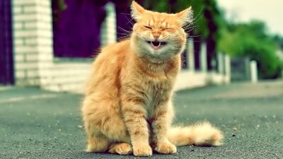 Eksik dişin 8 önemli zararı