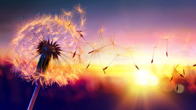 Yeni yılda sağlığınız için yeni kararlar alın!