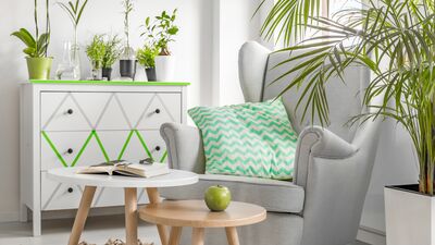 NASA evinizi temizleyen bitkileri açıkladı