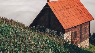 Ahmet Erdem'in gözünden dünya...