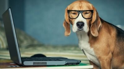 Neden pazartesi sendromu yaşarız?