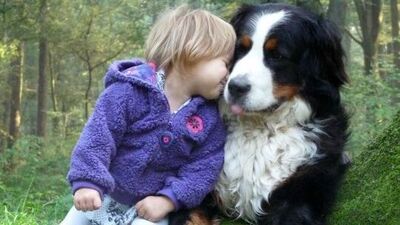 Köpeğin yapmadığı insanın yaptığı 13 şey