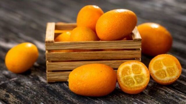 Bağışıklık dostu: Kumkuat meyvesi