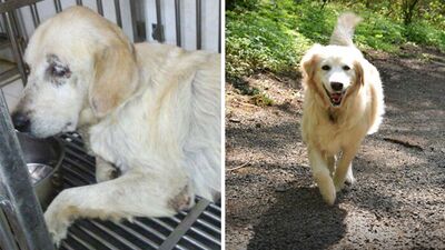 Her şeyin ilacı: Sevgi