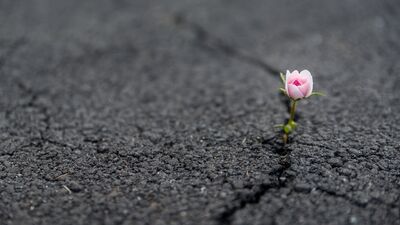 Her şeyden yorulduğunuzda bunu okuyun