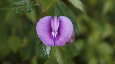 Vajina hakkında bilinmesi gereken 7 şey
