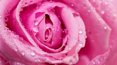 Vajina estetiği yaptırmanın yaygın sebepleri