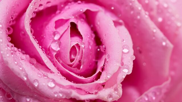 Vajina estetiği yaptırmanın yaygın sebepleri