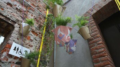 'Otlar, şehir ekolojisinin değerli aktörleri'