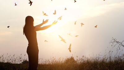 Dibe vurmadan özgür olamazsın