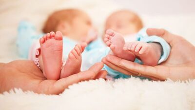 İkimiz bir fidanın güller açan dalıyız