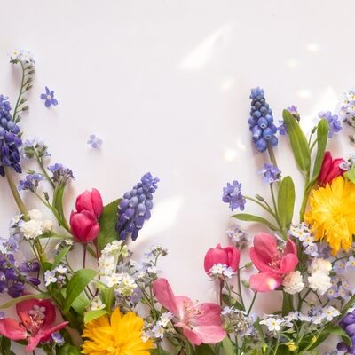 Hangi çiçeğe benziyorsunuz?