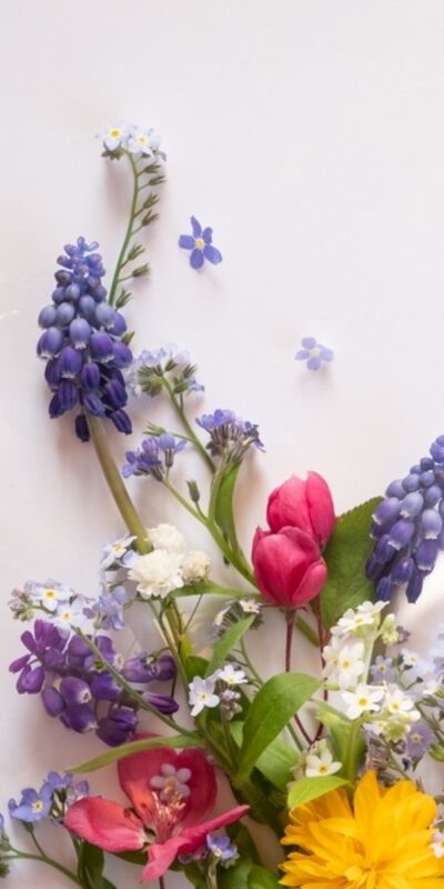 Hangi çiçeğe benziyorsunuz?