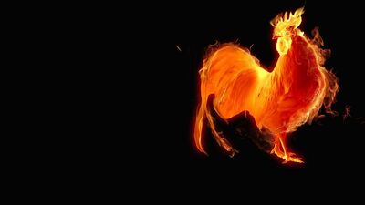 Horoz yılında bizi neler bekliyor?