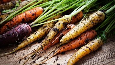 Gıdalar bizi hasta eder mi?