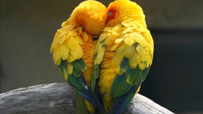 Dengeli ve uzun soluklu bir ilişki mümkün