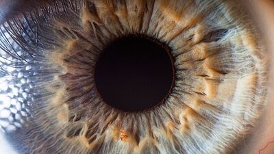 Herkesin görmesi gereken olağanüstü fotoğraflar